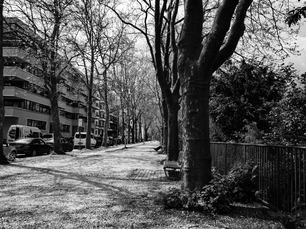 Citylife streetphotography taking a break